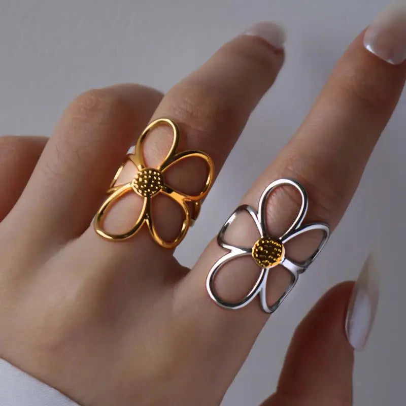 Anillos a conjunto